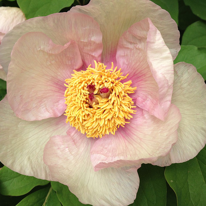 Impressionen Heilpraktikerpraxis Silvia Eckert in Freiburg St. Georgen